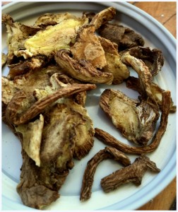 Du Huo